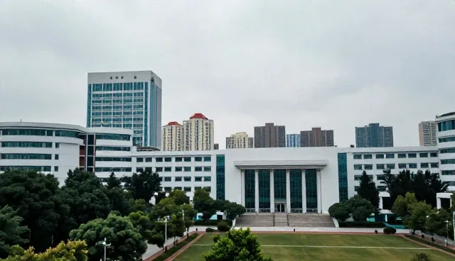 财税合规服务在企业战略规划中的实际应用分析